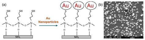 measuring thickness sers substrates|Introduction and Development of Surface.